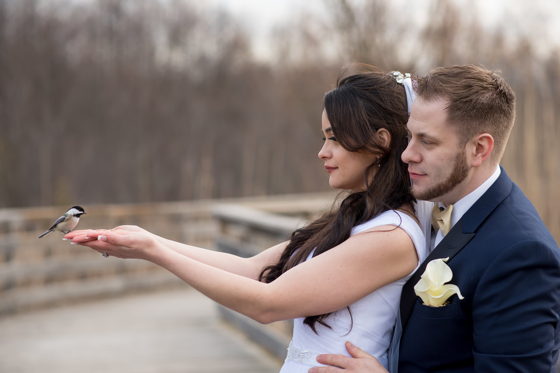 bride and groom with chickadee riverside park cambridge